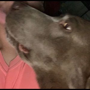 Meet your Posher, Berkley